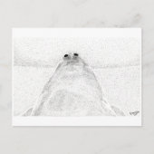 Carte postale de poulet étanche (Devant)