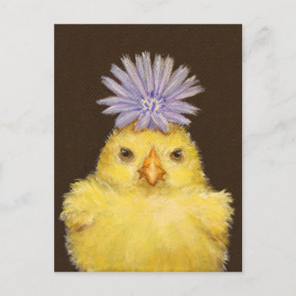 carte postale de poulet grincheux