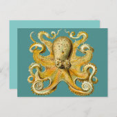 carte postale de poulpe (Devant / Derrière)