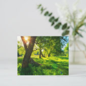 Carte postale de prairie forestière ensoleillée (Debout devant)