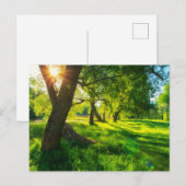 Carte postale de prairie forestière ensoleillée (Devant / Derrière)