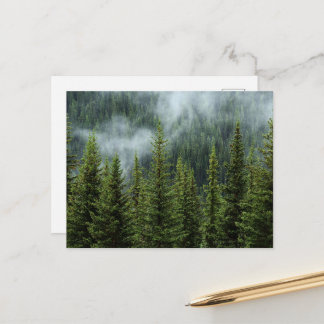 Carte postale de prairie forestière sereine