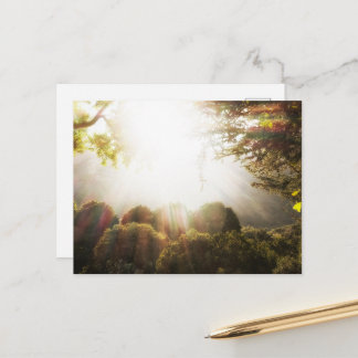 Carte postale de prairie forestière sereine ensole