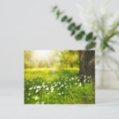 Carte postale de pré de fleur (Debout devant)