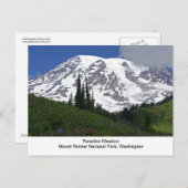 Carte postale de pré de paradis du mont Rainier (Devant / Derrière)
