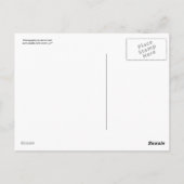 Carte postale de pré de paradis du mont Rainier (Dos)