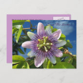 Carte postale de préavis Purple Passion (Devant / Derrière)