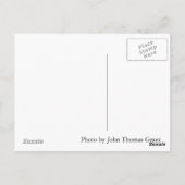 Carte postale de prédicateur (Dos)