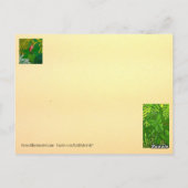 Carte postale de prière de sérénité/carte de bille (Dos)