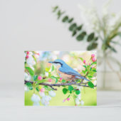 carte postale de printemps (Debout devant)