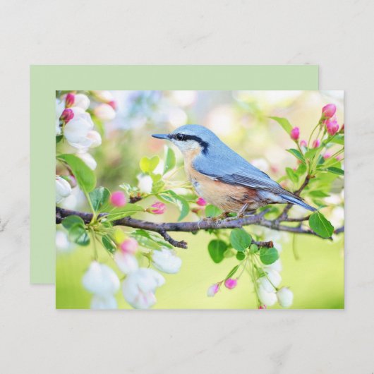 carte postale de printemps (Devant / Derrière)