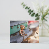 Carte postale de printemps de l'apiculteur de maïs (Debout devant)