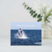 Carte postale de Provincetown (Debout devant)