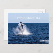 Carte postale de Provincetown (Devant / Derrière)