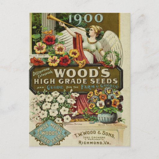 Carte postale de publicité de graines anciennes (Devant)