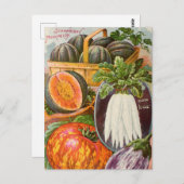 Carte postale de publicité de graines anciennes (Devant / Derrière)