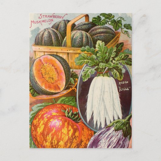 Carte postale de publicité de graines anciennes (Devant)