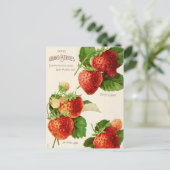 Carte postale de publicité de graines anciennes (Debout devant)