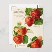 Carte postale de publicité de graines anciennes (Devant / Derrière)