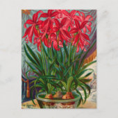 Carte postale de publicité de graines anciennes (Devant)