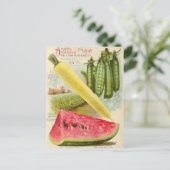 Carte postale de publicité de graines anciennes (Debout devant)