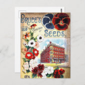 Carte postale de publicité de graines anciennes (Devant / Derrière)