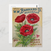 Carte postale de publicité de graines anciennes (Devant / Derrière)