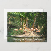 Carte postale de Puerto Vallarta (Devant / Derrière)