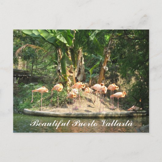 Carte postale de Puerto Vallarta (Devant)