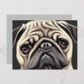 Carte postale de Pug (Devant / Derrière)