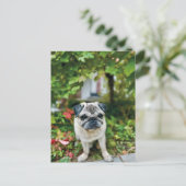 Carte postale de Pug mignon d'automne (Debout devant)