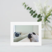 Carte postale de Pug Miroir (Debout devant)