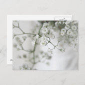 Carte postale de pureté (Devant / Derrière)