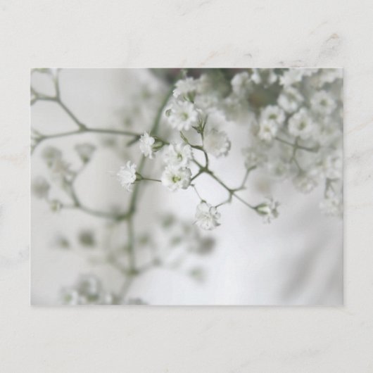 Carte postale de pureté (Devant)