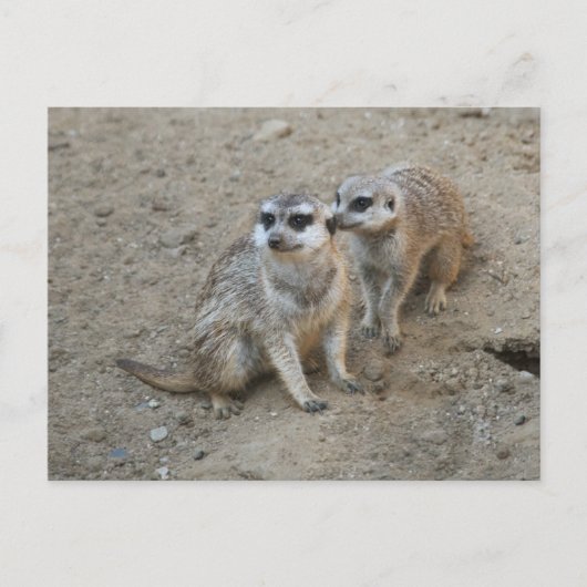 Carte Postale de Ragots (Devant)