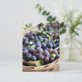 Carte postale de raisins italiens (Debout devant)