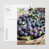 Carte postale de raisins italiens (Devant / Derrière)