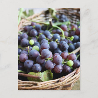 Carte postale de raisins italiens