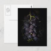 Carte postale de raisins violets (Devant / Derrière)