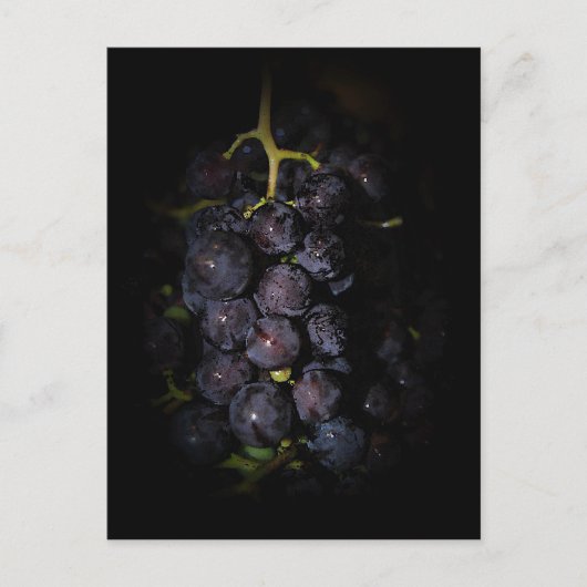 Carte postale de raisins violets (Devant)