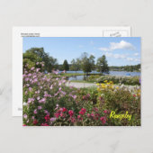 Carte postale de Rangeley Lakes (Devant / Derrière)