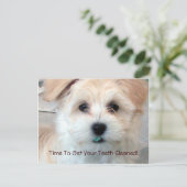 Carte postale de rappel dentaire (Debout devant)