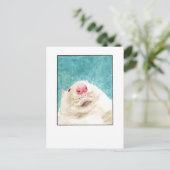 Carte postale de rat de compagnie - DNM (Debout devant)