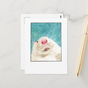 Carte postale de rat de compagnie - DNM