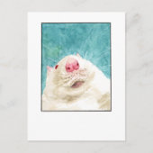 Carte postale de rat de compagnie - DNM (Devant)