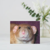 Carte postale de rat Dumbo (Debout devant)