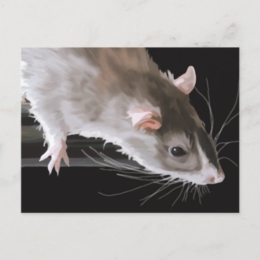 Carte postale de rat mignon (Devant)