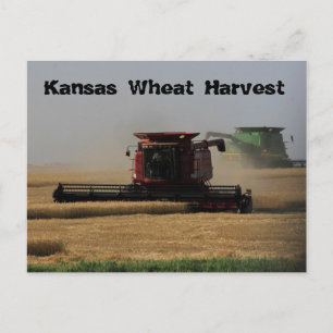 Carte postale de récolte de blé Kansas