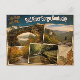 Carte postale de Red River Gorge, Kentucky