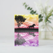 Carte postale de reflets de cheval (Debout devant)